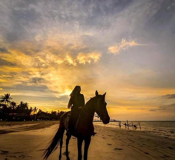 Palm Beach Resort & Spa