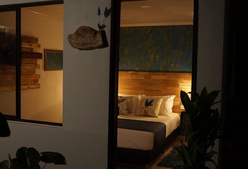 هتل El Jardin De La 10   Hostel