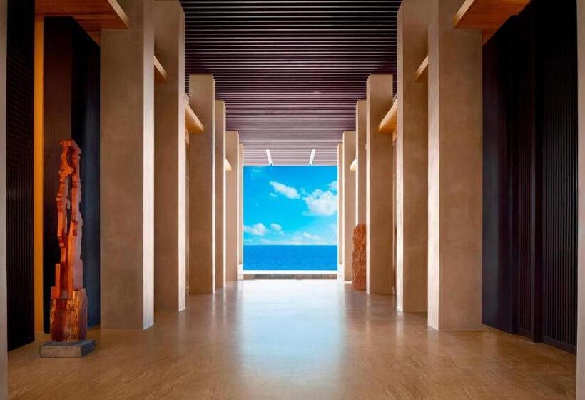 هتل Jw Marriott Los Cabos Beach Resort & Spa