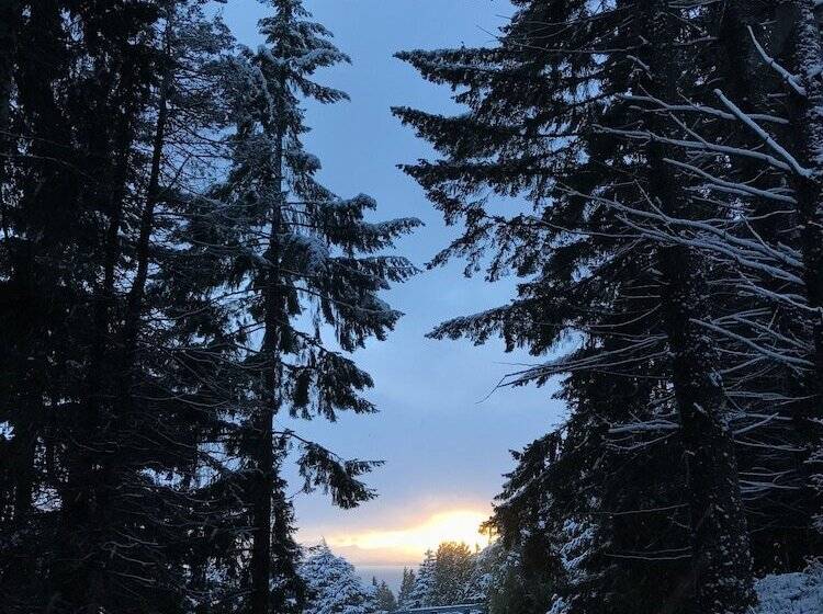 هتل Huinid Bustillo Cabañas