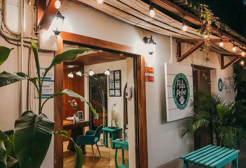 هاستل Hostal & Suites Pata De Perro
