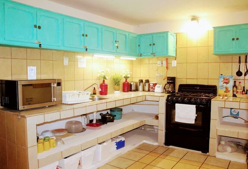 هاستل Hostal & Suites Pata De Perro