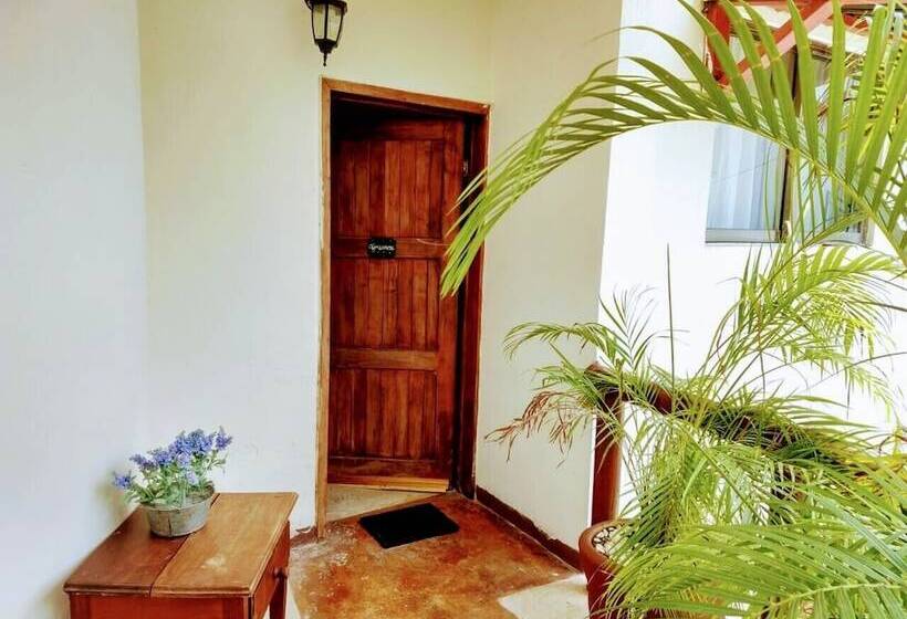 هاستل Hostal & Suites Pata De Perro