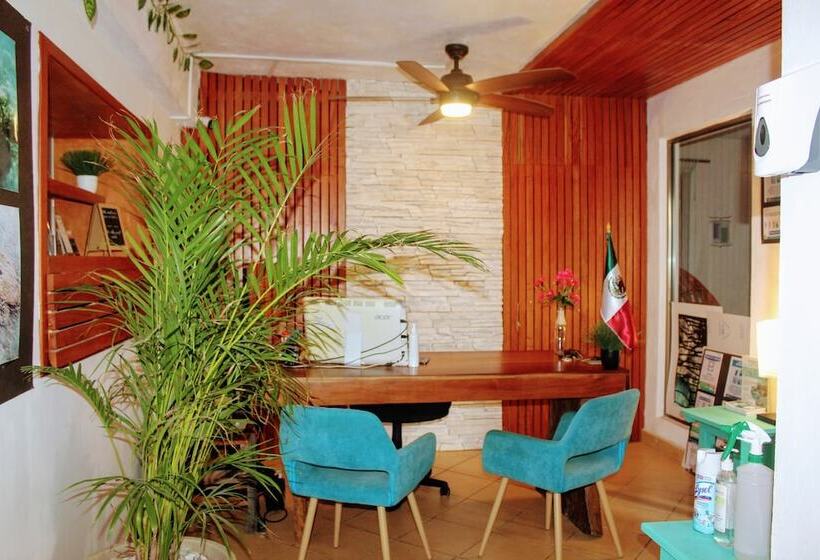 هاستل Hostal & Suites Pata De Perro