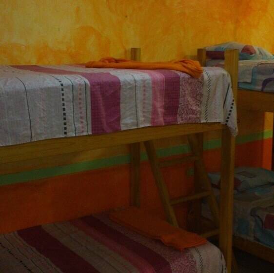 Amigos Hostel Cozumel