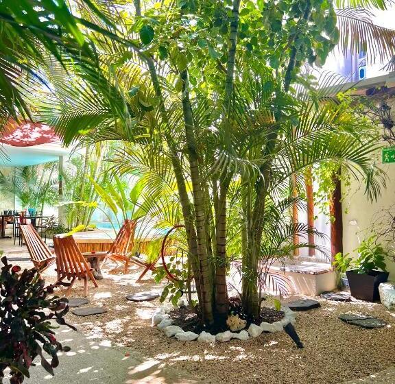 تختخواب و صبحانه Pacha Tulum