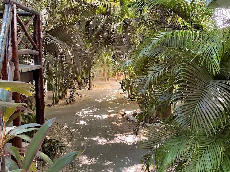 تختخواب و صبحانه Pacha Tulum