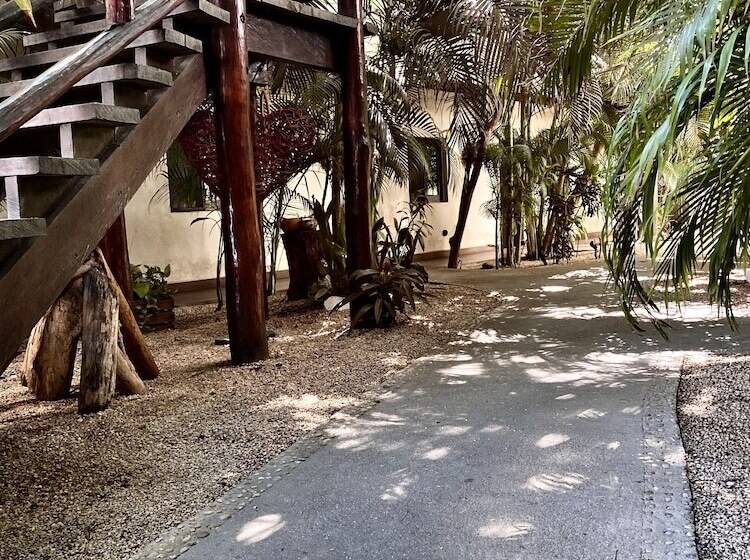 تختخواب و صبحانه Pacha Tulum