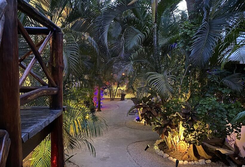 تختخواب و صبحانه Pacha Tulum