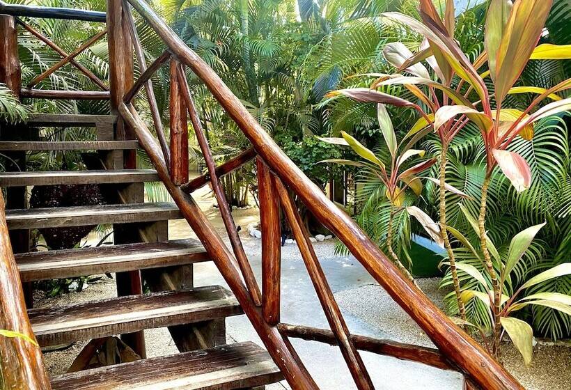 تختخواب و صبحانه Pacha Tulum