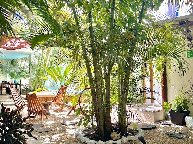تختخواب و صبحانه Pacha Tulum