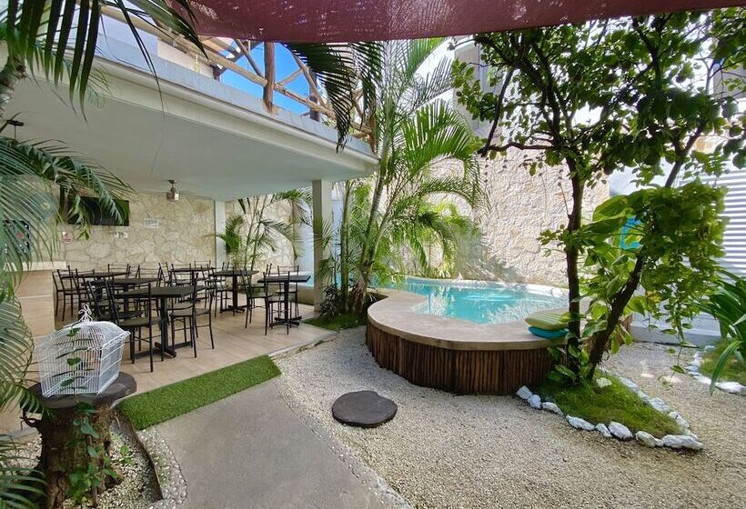 تختخواب و صبحانه Pacha Tulum
