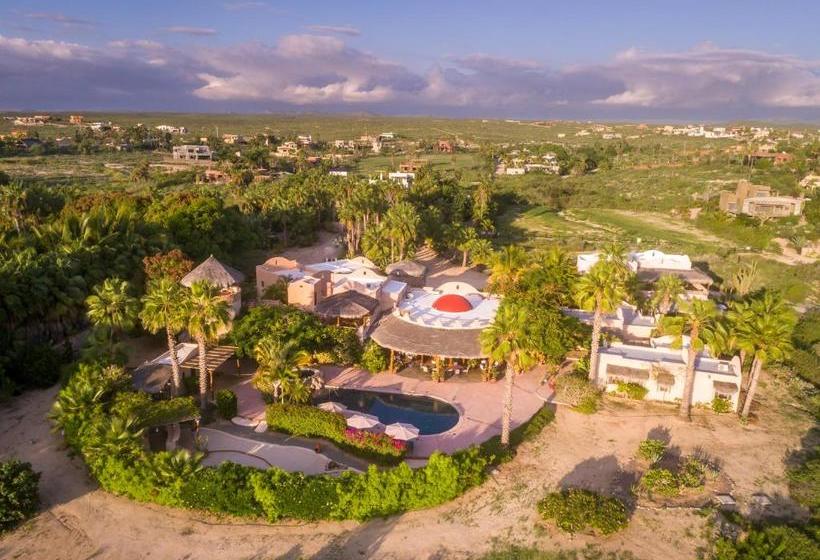 تختخواب و صبحانه Serendipity