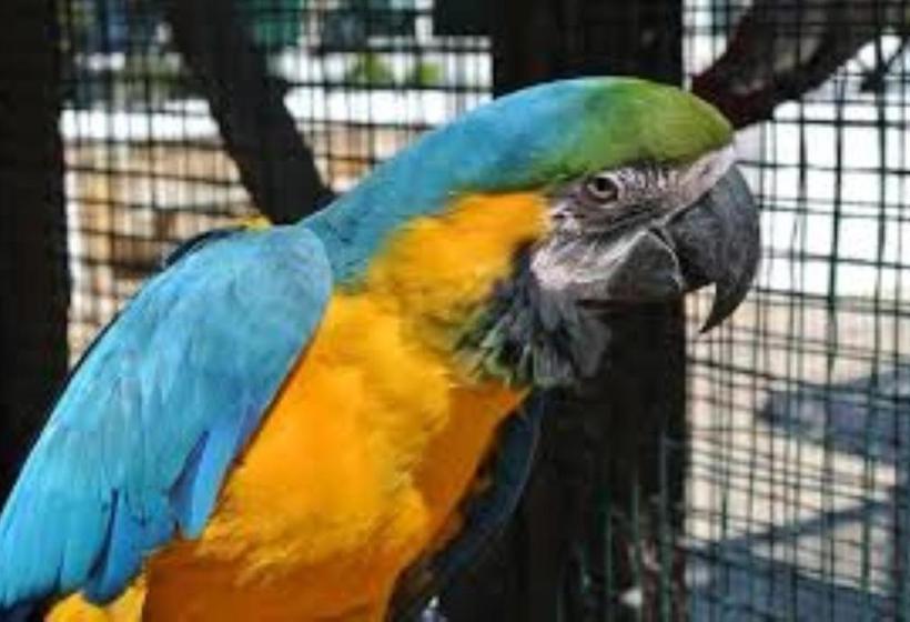 ホテル Centre Algarve