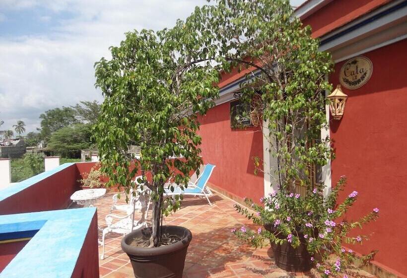 فندق Hacienda Flamingos