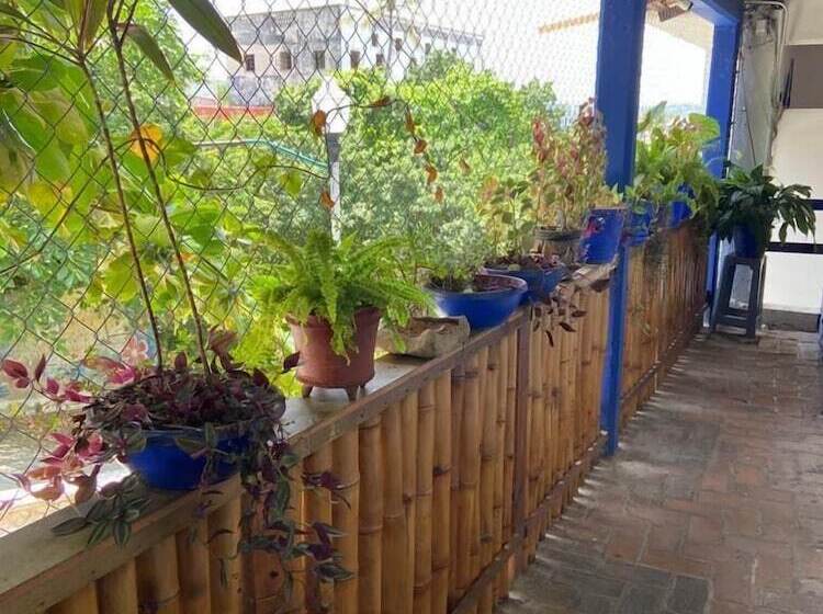 Fotos del hotel & Hostal Mayflower:  35