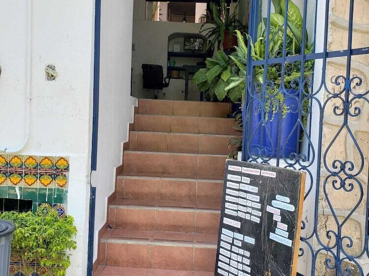 Fotos del hotel & Hostal Mayflower:  25