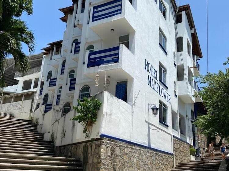 Fotos del hotel & Hostal Mayflower:  17
