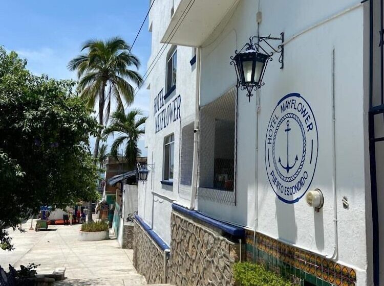 Fotos del hotel & Hostal Mayflower:  24