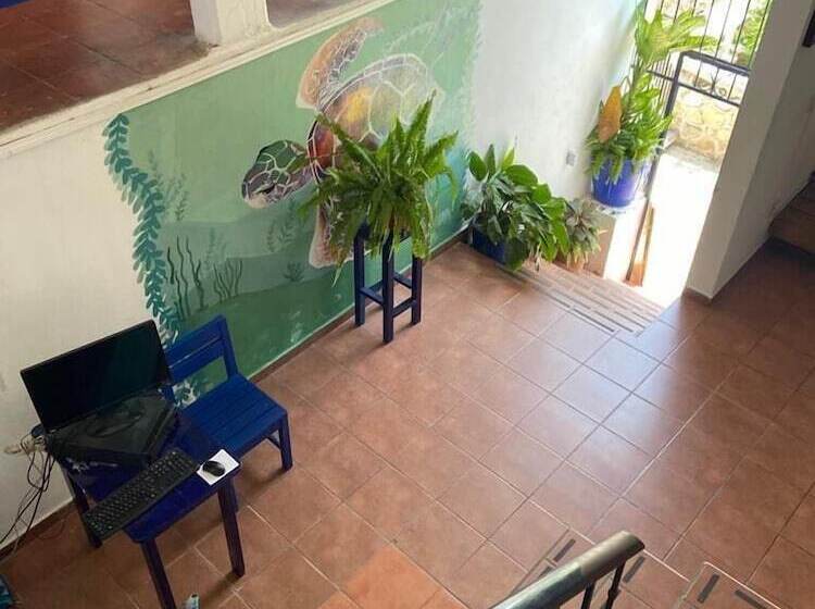 Fotos del hotel & Hostal Mayflower:  44