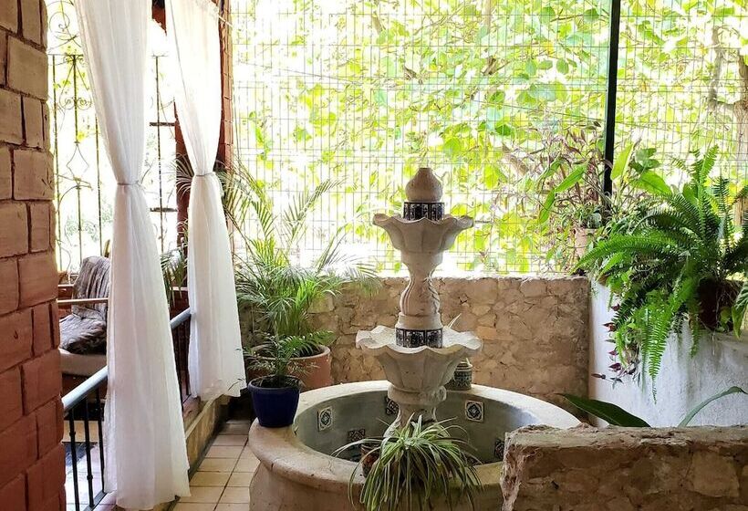 Fotos del hotel & Hostal Mayflower:  41