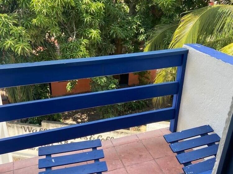 Fotos del hotel & Hostal Mayflower:  33
