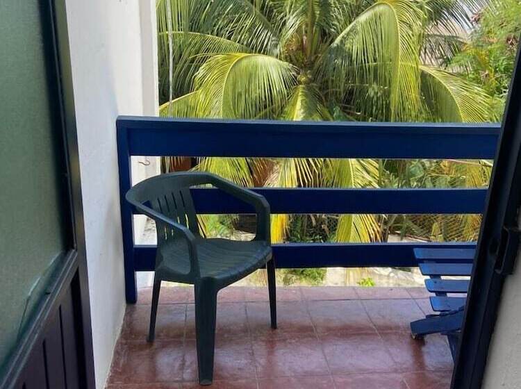 Fotos del hotel & Hostal Mayflower:  30