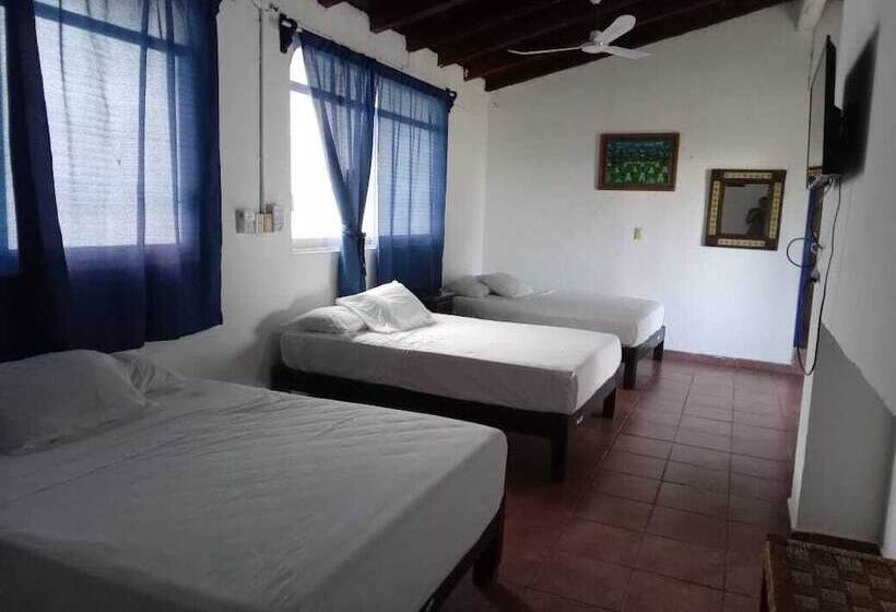 Fotos del hotel & Hostal Mayflower:  4