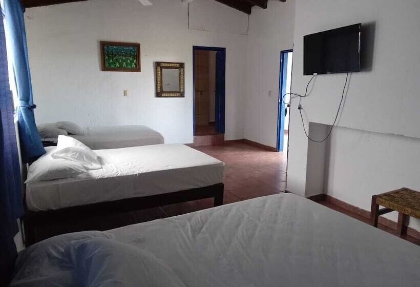 Fotos del hotel & Hostal Mayflower:  22
