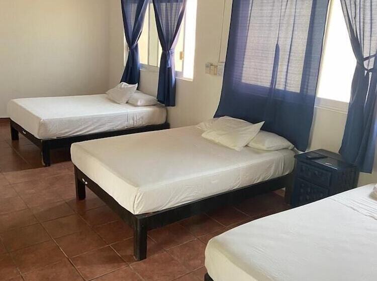 Fotos del hotel & Hostal Mayflower:  14