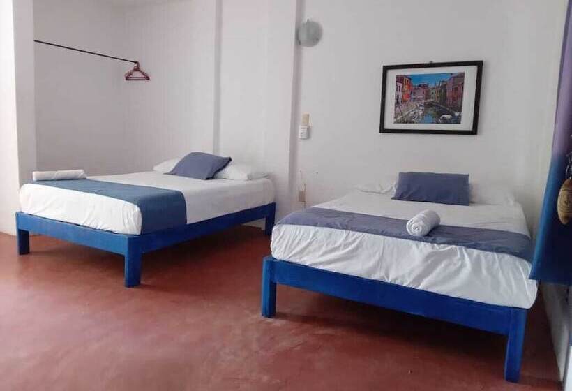 Fotos del hotel & Hostal Mayflower:  15