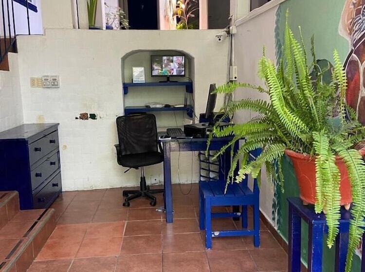 Fotos del hotel & Hostal Mayflower:  23