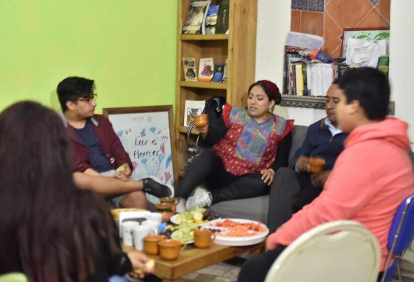 هتل Hostal Quinto Sol Huamantla