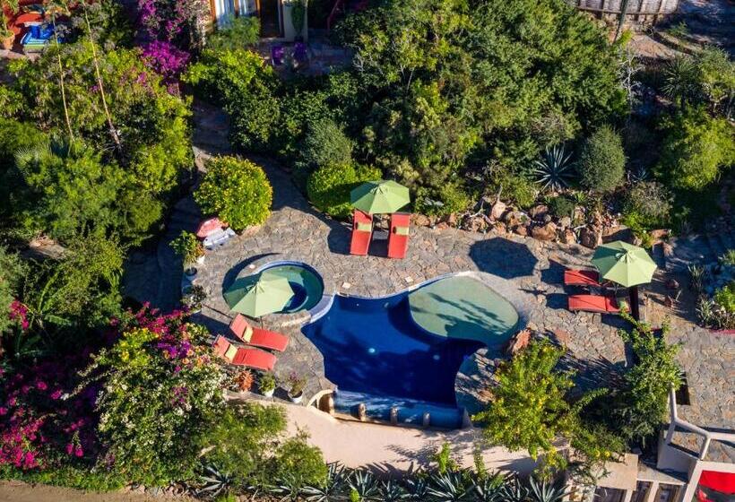 هتل Los Colibris Casitas