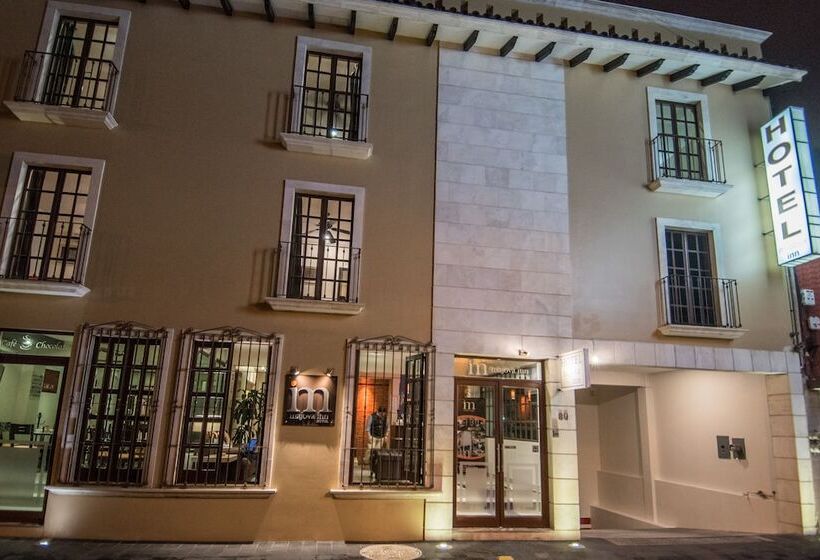 Fotos del hotel Majova Inn Xalapa:  14
