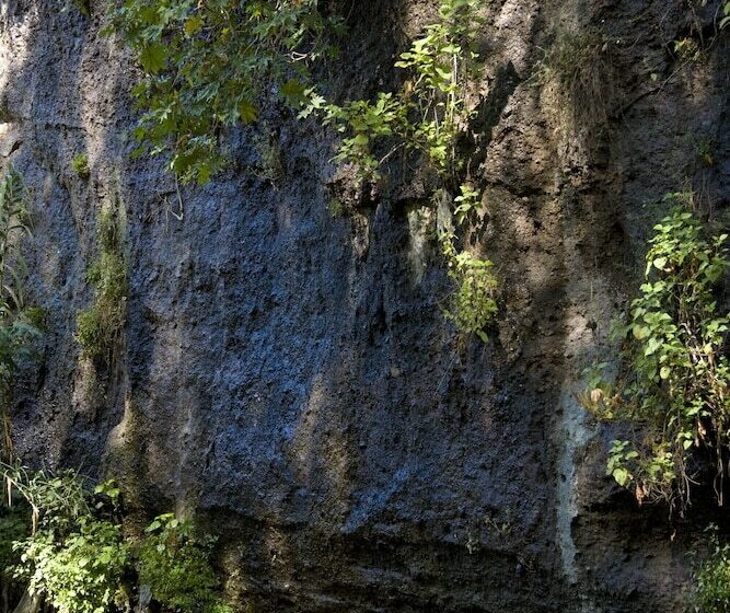 هتل Rancho San Cayetano
