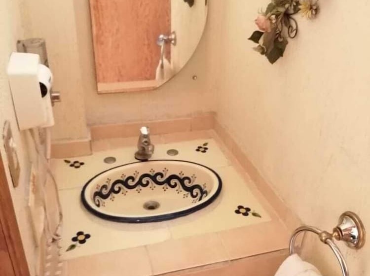 Fotos del hotel Villa Manzanares:  8