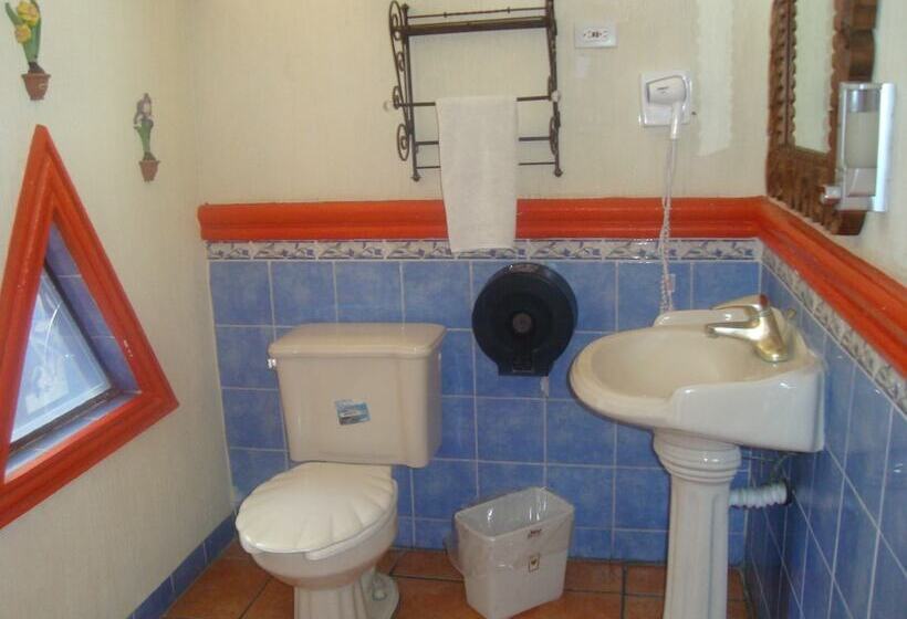 Fotos del hotel Villa Manzanares:  12
