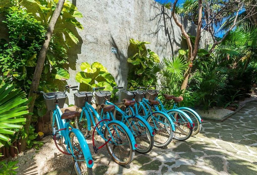 هتل Villa Pescadores Tulum