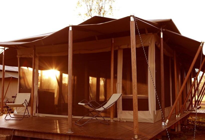 هتل Wildman Wilderness Lodge