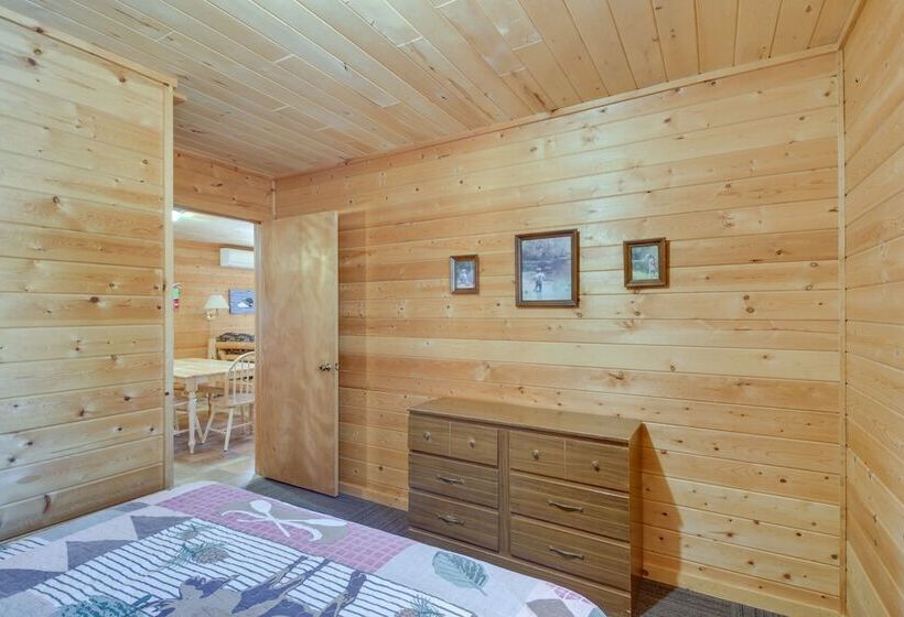 Dog Friendly Park Rapids Retreat W/ Boat Dock!