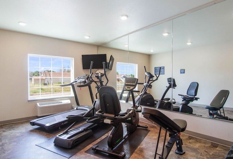 Отель Cobblestone Inn & Suites   Julesburg