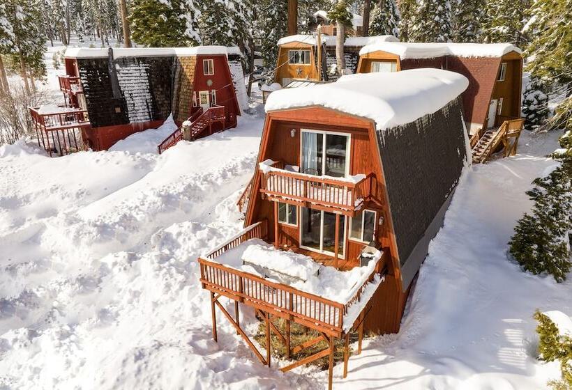 Chickadee By Avantstay Modern A Frame Cabin