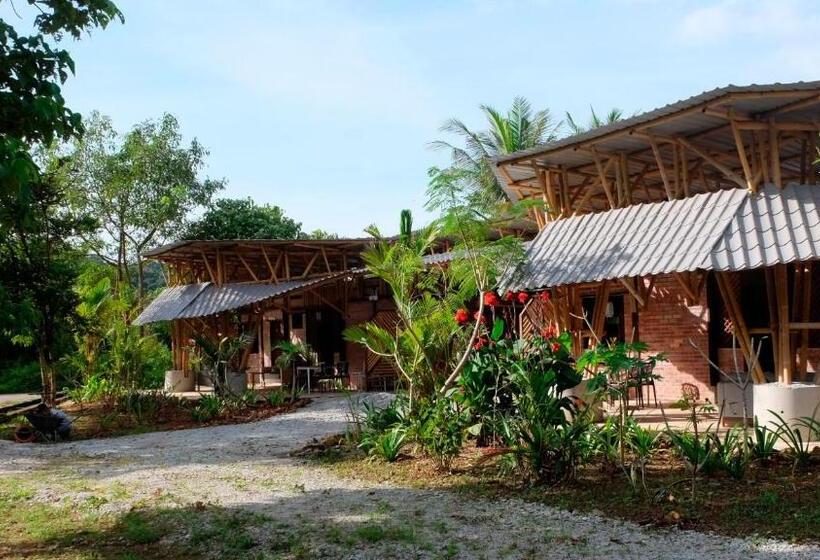 酒店 Bamboo Cottage Langkawi
