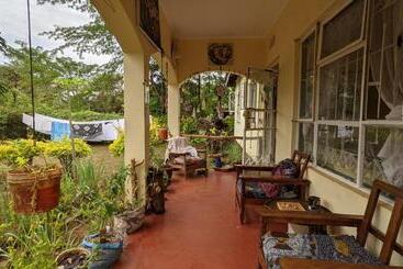Backyard Hostel