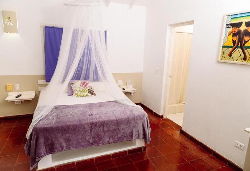 Fotos del hotel Beach Hotel Casa Nina:  39