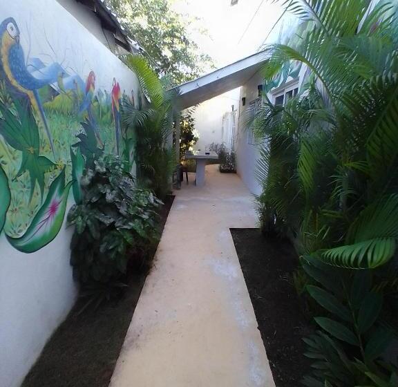 Fotos del hotel Beach Hotel Casa Nina:  31