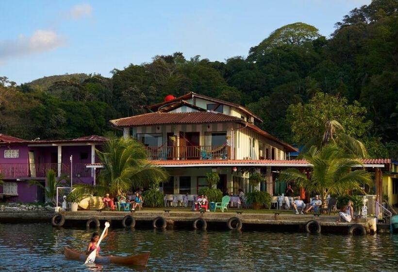 تختخواب و صبحانه Casa Congo & Casa Rayo Verde   Restaurante   Galeria De Arte