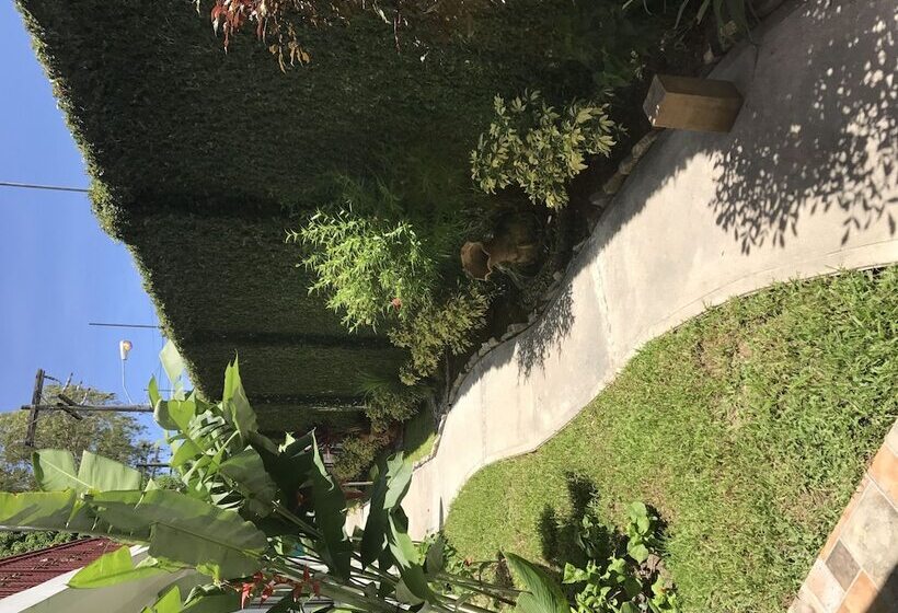 تختخواب و صبحانه Casa Luisa