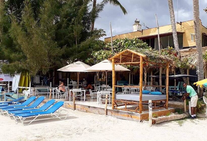 تختخواب و صبحانه Eco Hotel Club Rolling Stone
